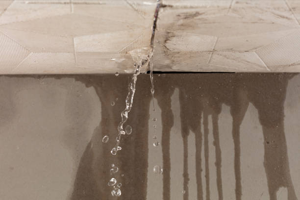 Professional Water Damage Inspection technician working in Rockville, RI